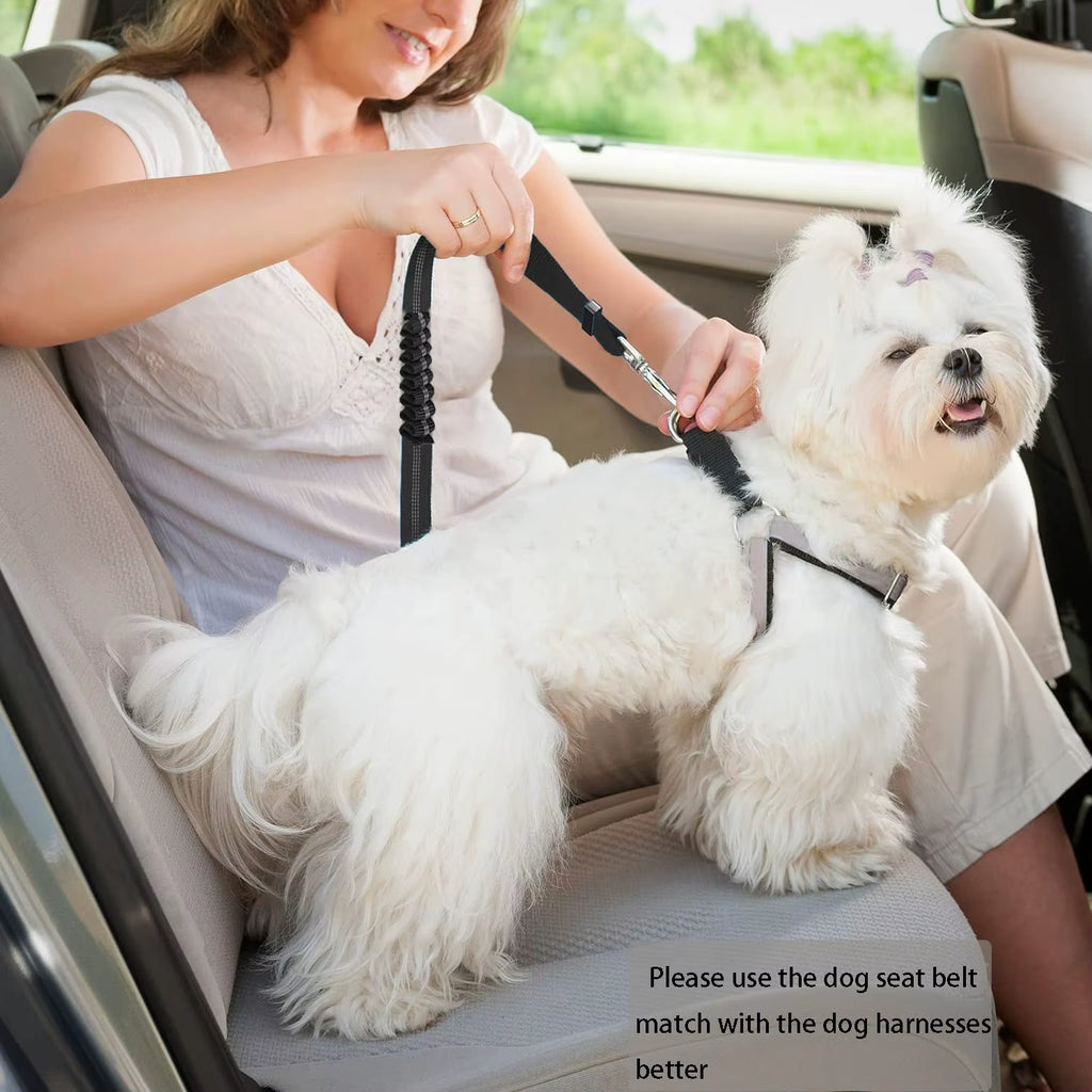 Dog Seat Belt - Enhanced Dual-Use Vehicle Headrest Attachment and Adjustable Bungee Leash for Pets