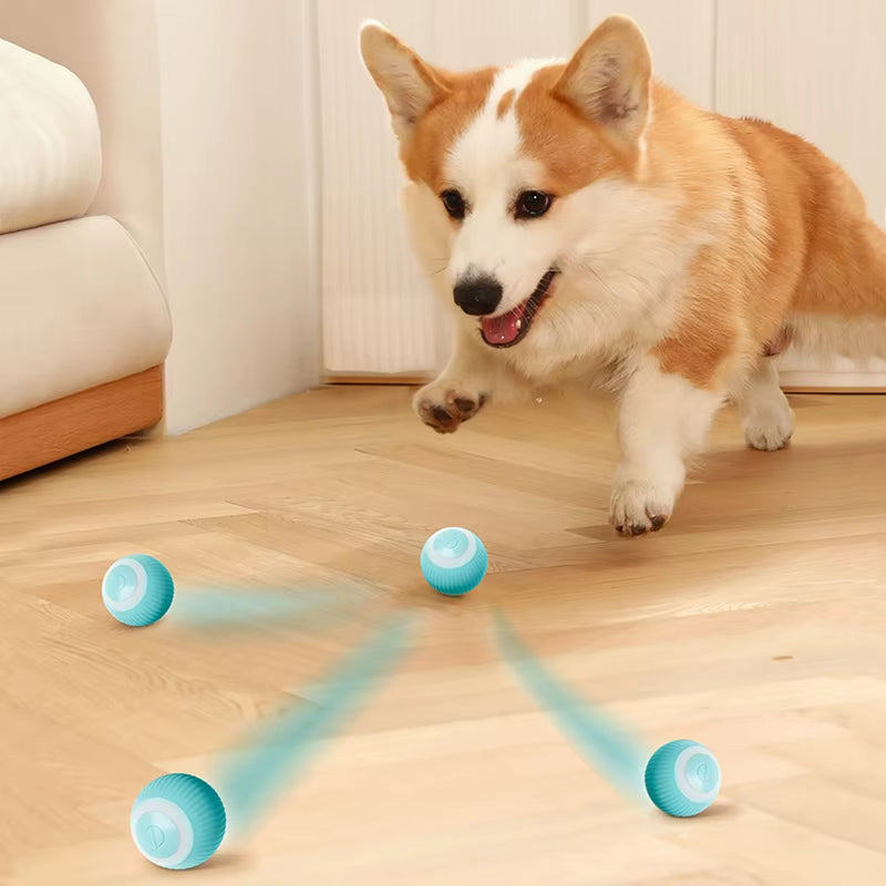 Smart Interactive Dog Toy: Automatic Rolling Ball for Small Dogs - Engaging Indoor Play for Puppies