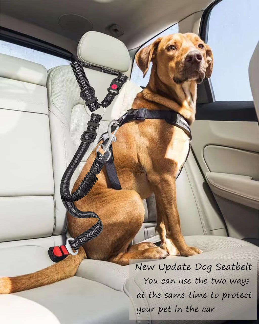 Dog Seat Belt - Enhanced Dual-Use Vehicle Headrest Attachment and Adjustable Bungee Leash for Pets